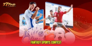 Fantasy sports contest